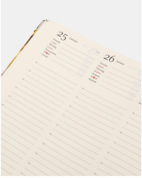 The Y.A.H. 2026 Deluxe Planner